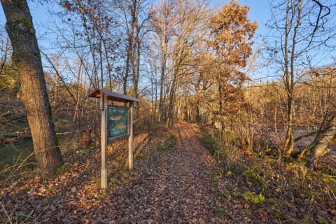 Gemeinde Eggenfelden Landkreis Rottal-Inn Gern Lichtlberger Wald (Dirschl Johann) Deutschland PAN